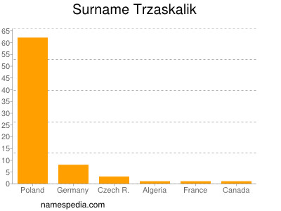 Surname Trzaskalik