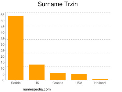 Surname Trzin