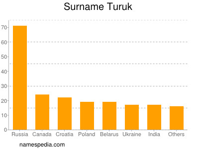 Surname Turuk