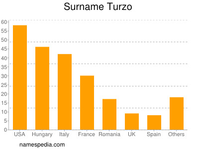 Surname Turzo