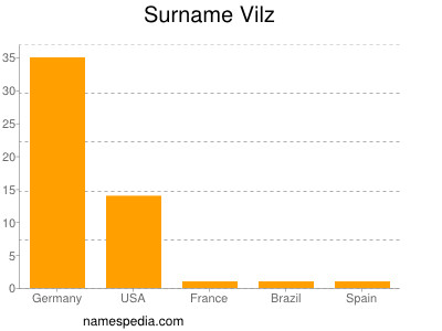 Surname Vilz