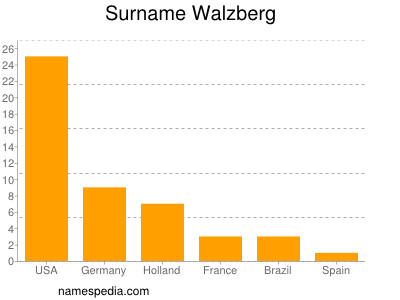 Surname Walzberg