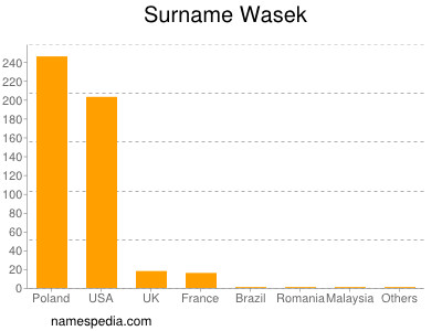 Surname Wasek