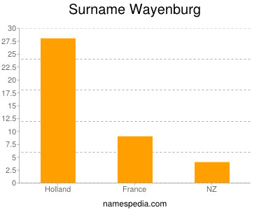 Surname Wayenburg