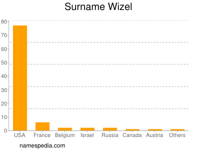 Surname Wizel