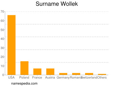 Surname Wollek
