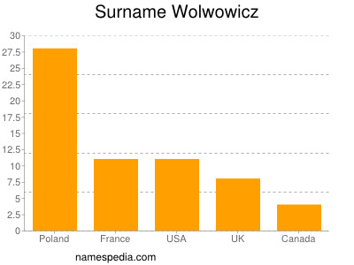 Surname Wolwowicz