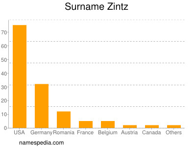 Surname Zintz