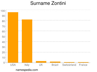 Surname Zontini