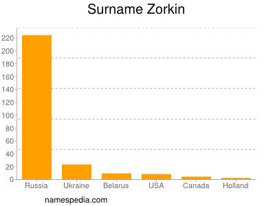 Surname Zorkin