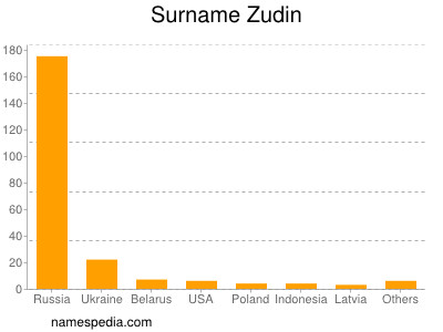 Surname Zudin
