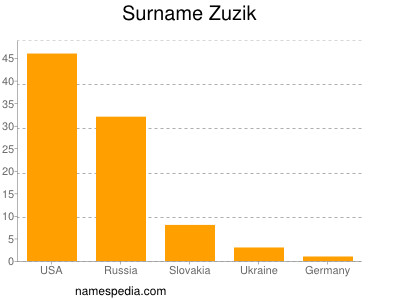 Surname Zuzik