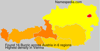 Surname Burzic in Austria