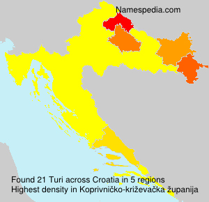 Surname Turi in Croatia