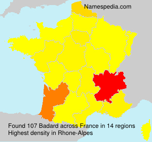 Surname Badard in France