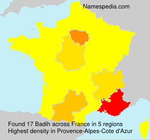 Surname Badih in France