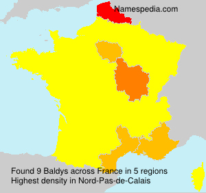 Surname Baldys in France