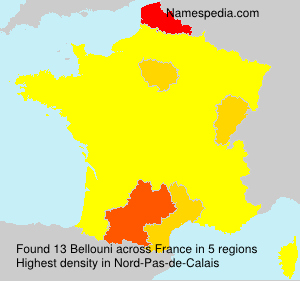 Surname Bellouni in France