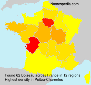 Surname Boizeau in France