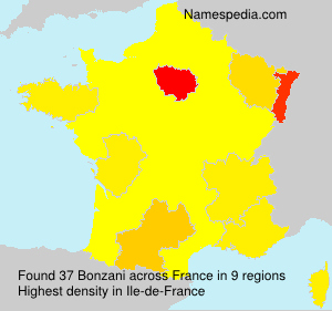 Surname Bonzani in France