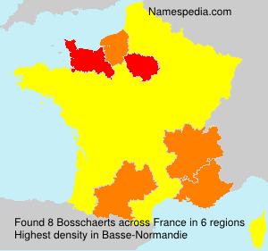 Surname Bosschaerts in France Surname Bosschaerts in France