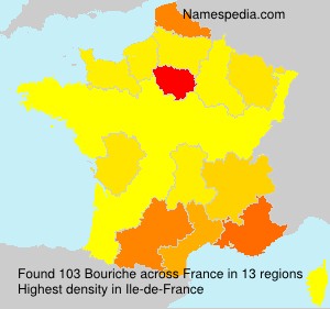 Surname Bouriche in France