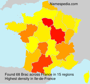 Surname Brac in France