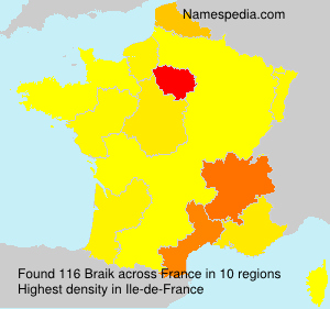 Surname Braik in France