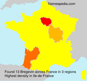Surname Bregevin in France