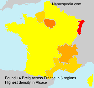 Surname Breig in France