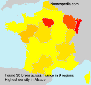 Surname Brem in France