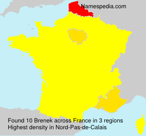 Surname Brenek in France
