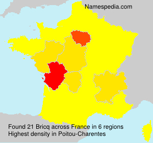 Surname Bricq in France