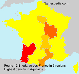 Surname Brieda in France