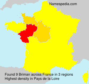Surname Briman in France