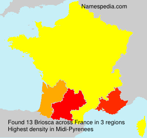 Surname Briosca in France