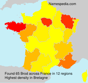 Surname Brod in France