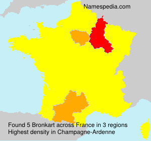 Surname Bronkart in France