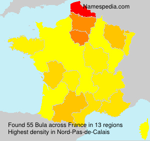 Surname Bula in France