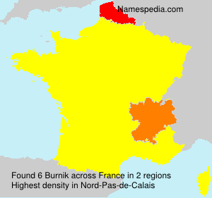 Surname Burnik in France