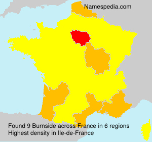 Surname Burnside in France