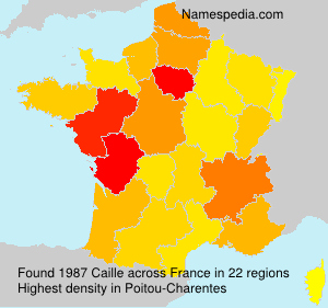 Surname Caille in France