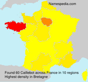 Surname Caillebot in France