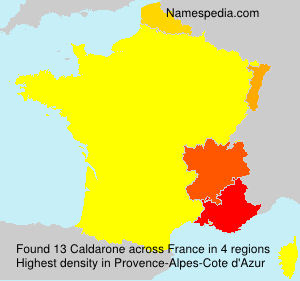 Surname Caldarone in France