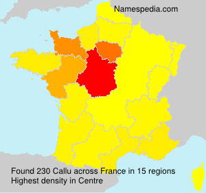 Surname Callu in France