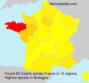 Surname Castric in France