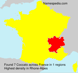 Surname Coccato in France