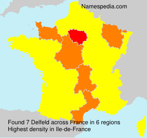 Surname Delfeld in France