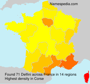 Surname Delfini in France