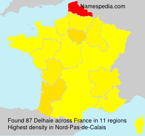 Surname Delhaie in France